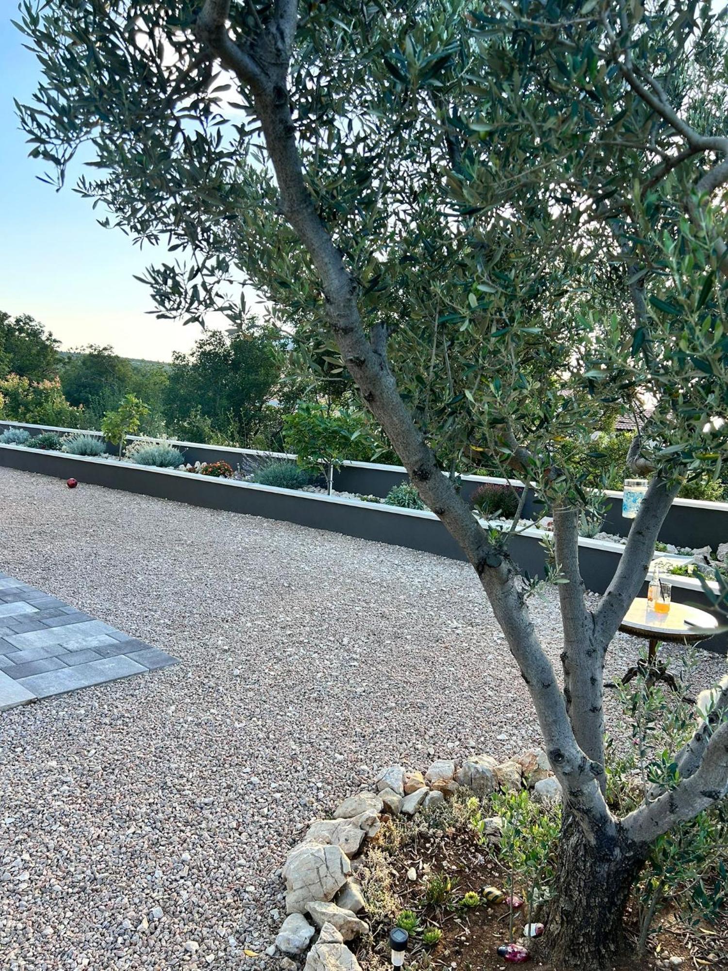 Apartments Bonaca Rovanjska Dış mekan fotoğraf
